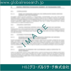 グローバルリサーチ調査資料のイメージ